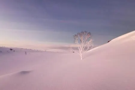 Aurora Hut - Luksusmajoitus Iglu Tunturilammella Pohjois-lapissa Nuorgamissa Nuorgam